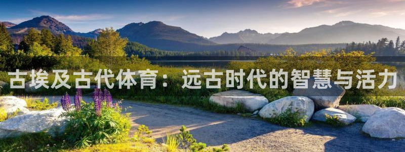 绿茵nba免费直播在线直播：古埃及古代体育：远古时代的智慧与活力