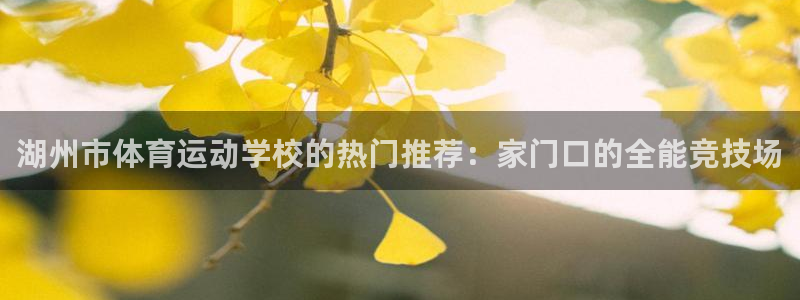 绿茵体育直播9939：湖州市体育运动学校的热门推荐：家门口的全能竞技场