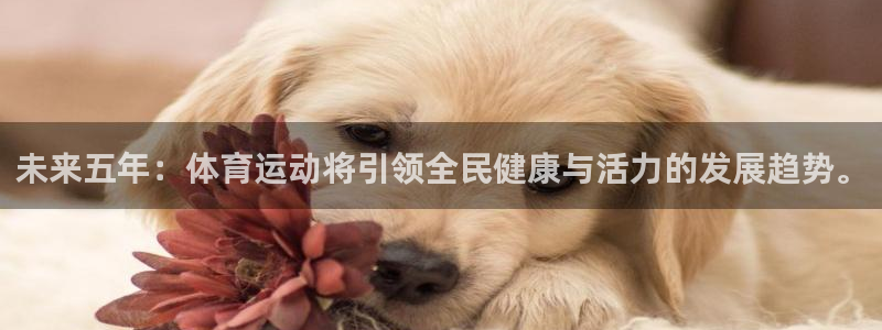 绿茵体育官网入口：未来五年：体育运动将引领全民健康与活力的发展趋势。