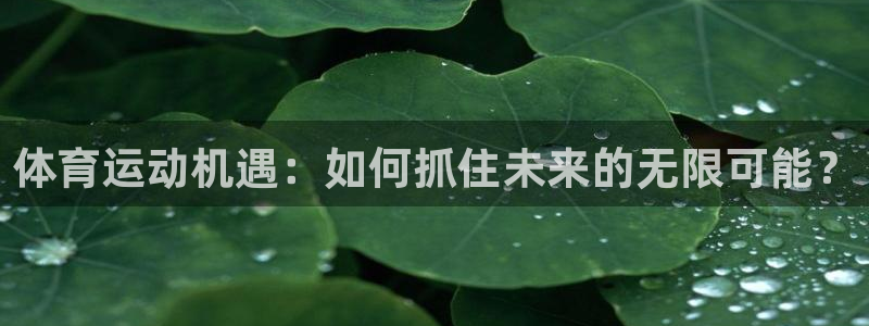 绿茵nba免费直播在线直播：体育运动机遇：如何抓住未来的无限可能？