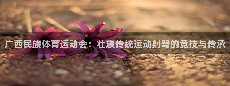 绿茵体育nba：广西民族体育运动会：壮族传统运动射弩的竞技与传承