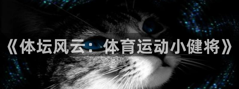 绿茵体育lyzb官网入口：《体坛风云：体育运动小健将》