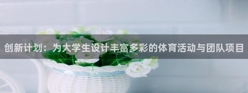 绿茵体育lyzb：创新计划：为大学生设计丰富多彩的体育活动与团队项目