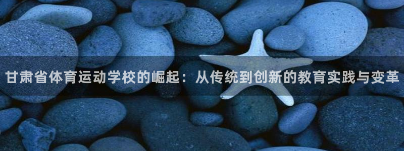 天津绿茵体育公司：甘肃省体育运动学校的崛起：从传统到创新的教育实践与变革