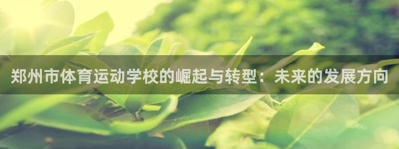 天津绿茵体育公司：郑州市体育运动学校的崛起与转型：未来的发展方向