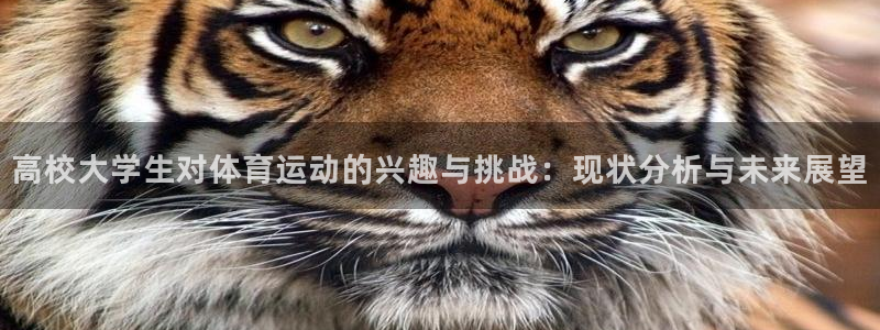 绿茵体育nba：高校大学生对体育运动的兴趣与挑战：现状分析与未来展望
