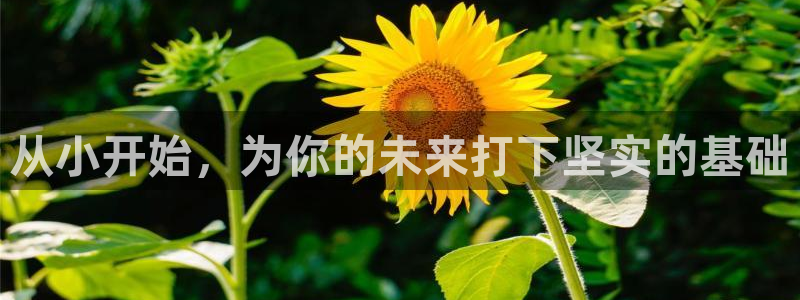 绿茵足球：从小开始，为你的未来打下坚实的基础